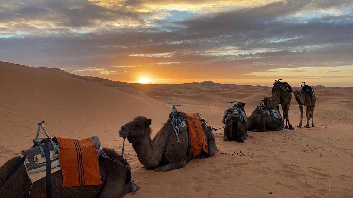 Chegaga Desert Trips M'Hamid Εξωτερικό φωτογραφία